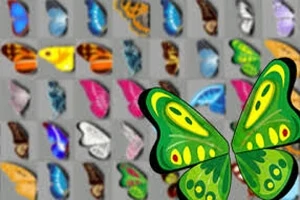 Flit and frolic with fantastical feats of matching mastery!