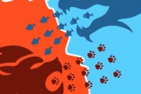 Conquer Us este un joc online strategic abstract în genul puzzle-urilor
