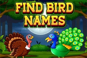 Un curcan și un păun stau într-o pădure sub lumina lunii, cu textul Find Bird Names deasupra