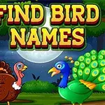 Un curcan și un păun stau într-o pădure sub lumina lunii, cu textul Find Bird Names deasupra