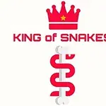 Coroană roșie deasupra textului King of Snakes și o formă abstractă de șarpe verticală