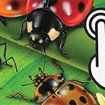 Insecte colorate pe o frunză verde, alături de o ilustrație a unei mâini care apasă un buton
