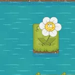 Floare albă cu față zâmbitoare pe o bucată de iarbă plutind pe apă