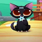 Pisicuță ninja cu ochi mari, purtând o bandană și ținând un shuriken, stă pe un podeț de lemn, cu flori de cireș în fundal