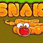 Un șarpe portocaliu stilizat cu ochi mari și gura deschisă sub cuvântul SNAKE scris în litere mari și colorate